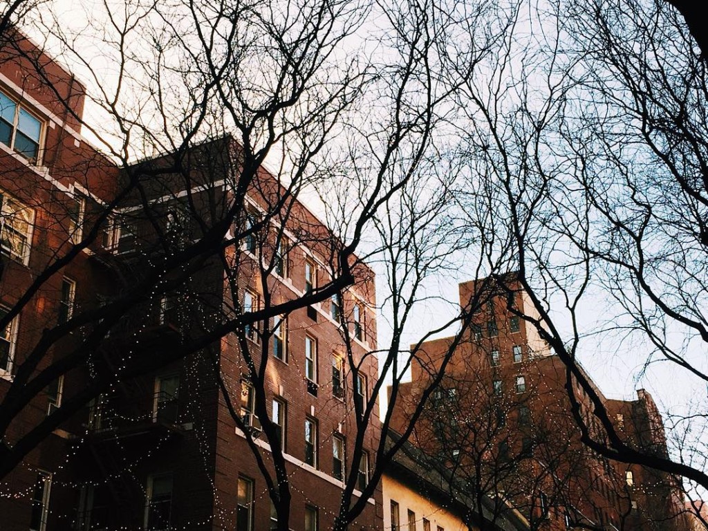 #NewYork glowing at golden hour. The last of Christmas clinging on to branches...Holiday cheer hangs around here for as long as winter will let it. #christmaslights #goldenhour #citywalk #winter #NYC