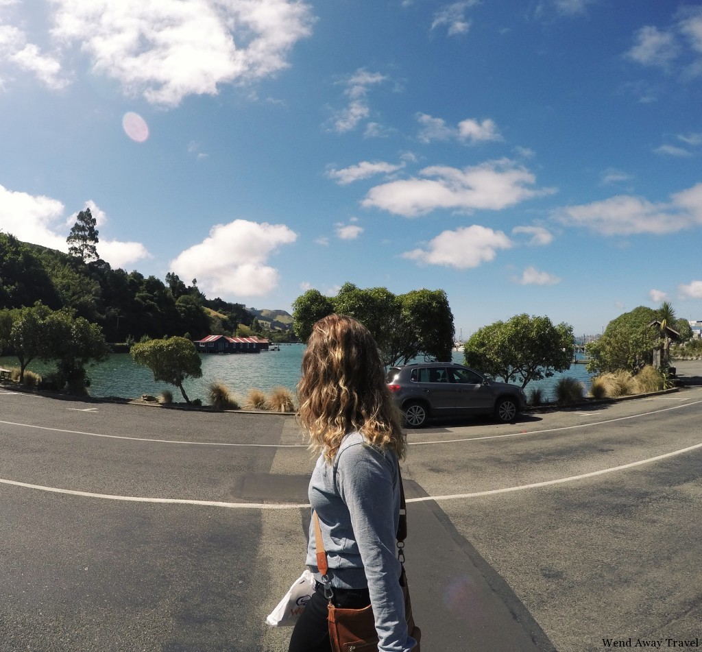 Otago Peninsula, Carey's Bay