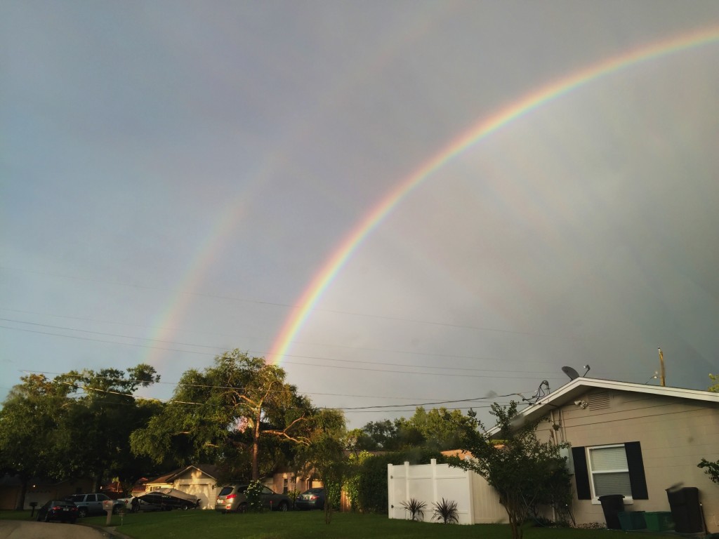 florida rainbow